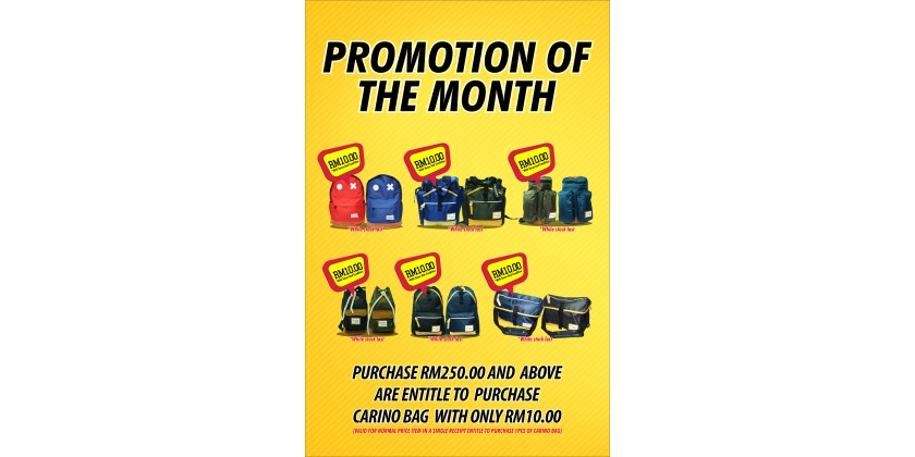 Promotion of the Month